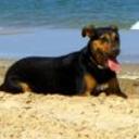 Tranki