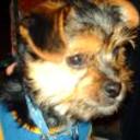 Ruso
