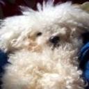 Benji