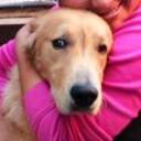 Danko diaz abett de la torre