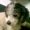 Snoopy