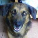 Conde