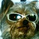 Roby