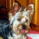 Rony