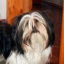 Camilo