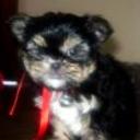 Nena