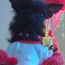 Muñeca