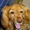 Charlie
