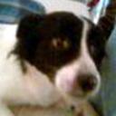 Baltazar