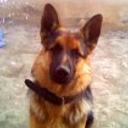 Tonny
