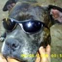 Rudo