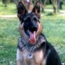 Balto