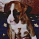 Wanda