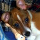Cuco