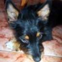 Tufo