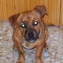 Monchito