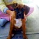 Wanda