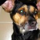 Blacky