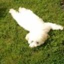 Buby