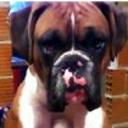 Roky