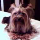 Ruffo