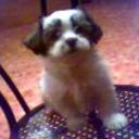 Tony
