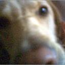 Sacha