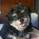 Chiqui