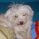 Blanca