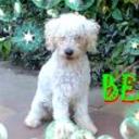 Benjamin