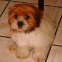 Nancy