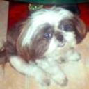Cuca