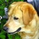 Truko