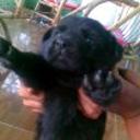 Boby