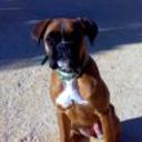 Kora de atopesiempre