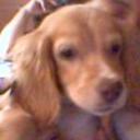 Snoopy