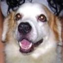 Sebastia