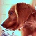 Buster