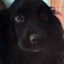 Boni