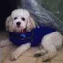 Zeus alejandro mendez