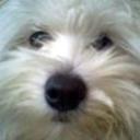 Roky