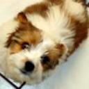 Moshi
