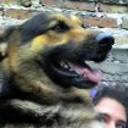 Neron