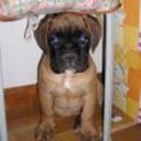 Iker