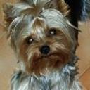 Bobby