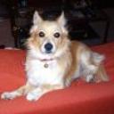 Rony