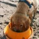 Almendra diaz abett de la torre