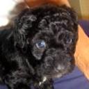 Blaky