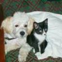 Zeus alejandro mendez