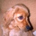 Wanda